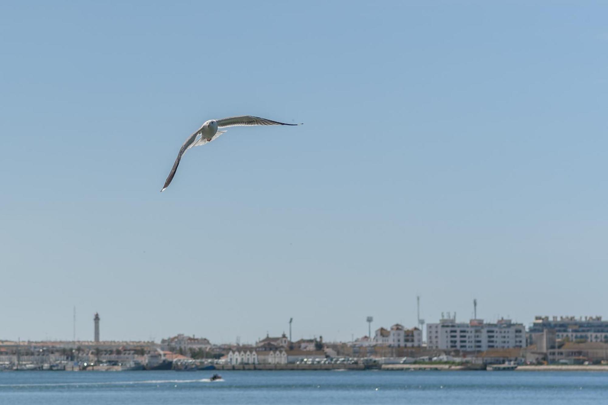LUXURY APARTAMENTOS Doña Bella Ayamonte